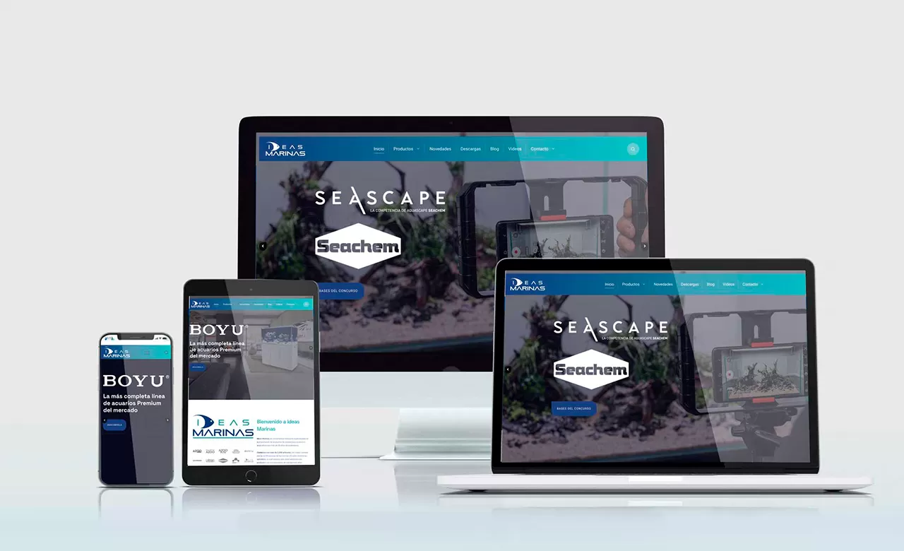 Posicionamiento web y optimización de ideasmarinas.com